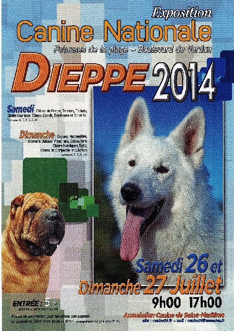 By Bidule - Exposition Canine à Dieppe