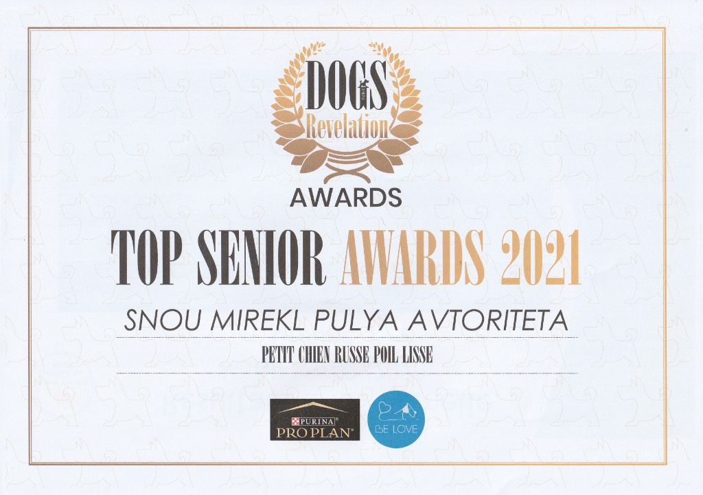 By Bidule - Pulya Top Senior 2021!