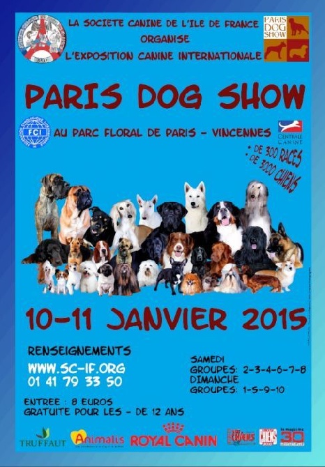 By Bidule - Paris Dog Show: by Bidule gagne les 2 Meilleurs de Race!