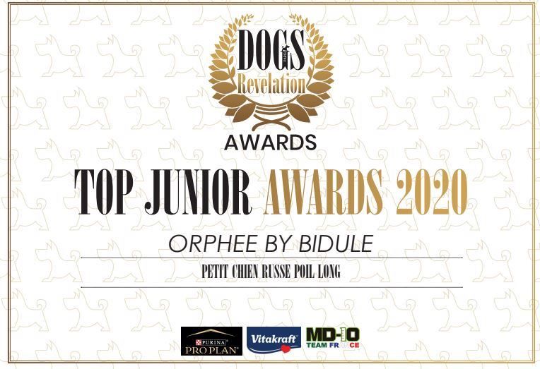 By Bidule - Orphée by Bidule - Top Junior Awards 2020!
