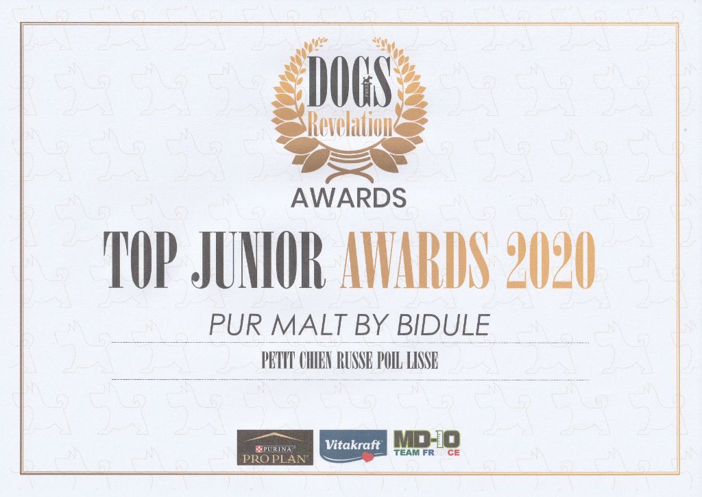 By Bidule - Pur Malt by Bidule - Top Junior Awards 2020!