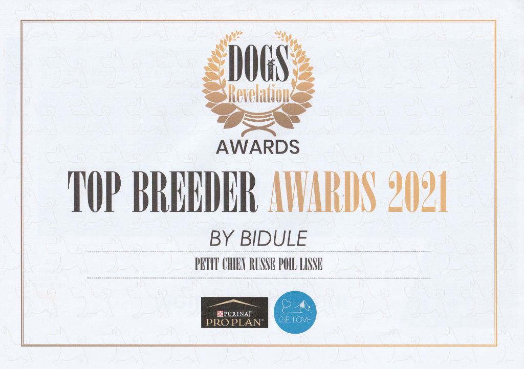 By Bidule - Top Breeder Awards 2021!!!!!