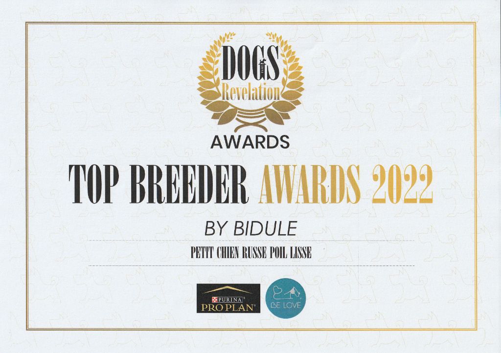 By Bidule - Top Breeder AWARDS 2022 