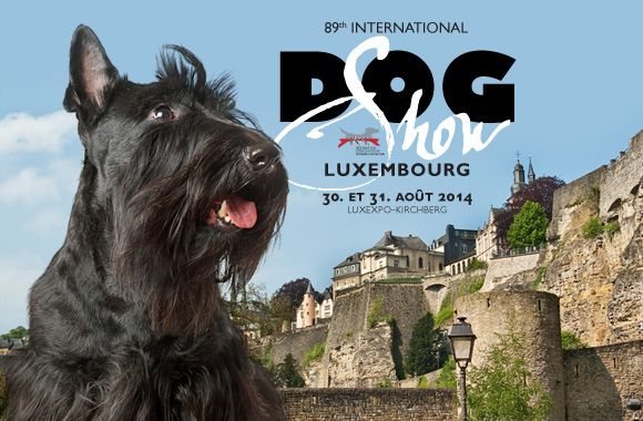 By Bidule - Exposition Canine Internationale,  Luxembourg