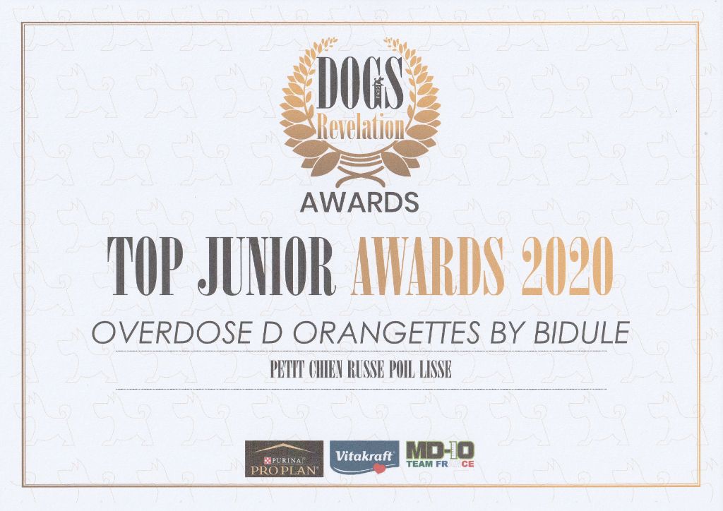 By Bidule - Orangette - Top Junior Awards 2020!