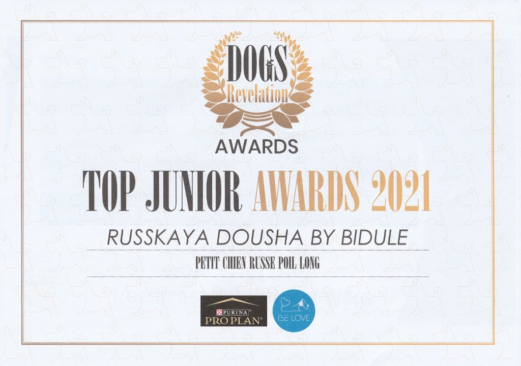 By Bidule - Dousha - Top Junior 2021!