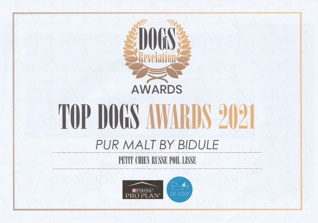 By Bidule - Pur Malt - Top Dog 2021!