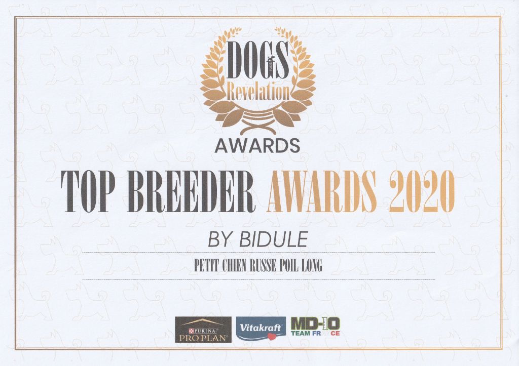 By Bidule - Top Breeder Awards 2020 Russkiy Toy à poil long!
