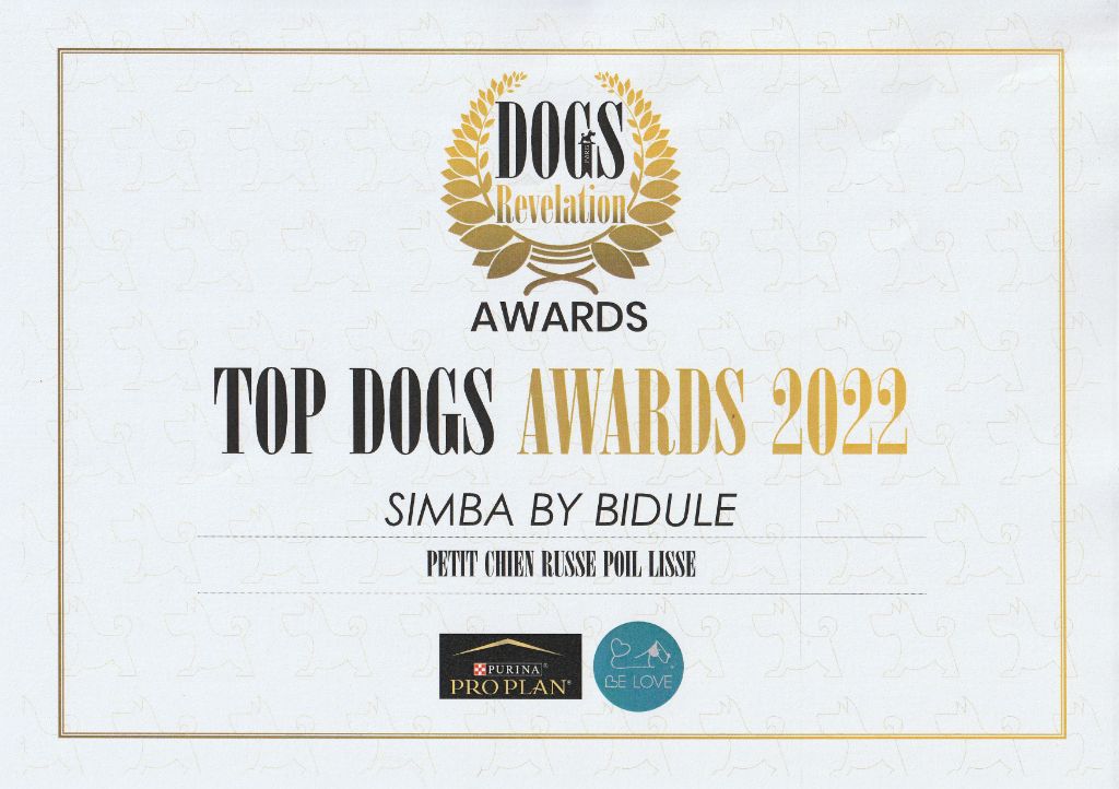 By Bidule - Simba by Bidule Top Dog 2022!