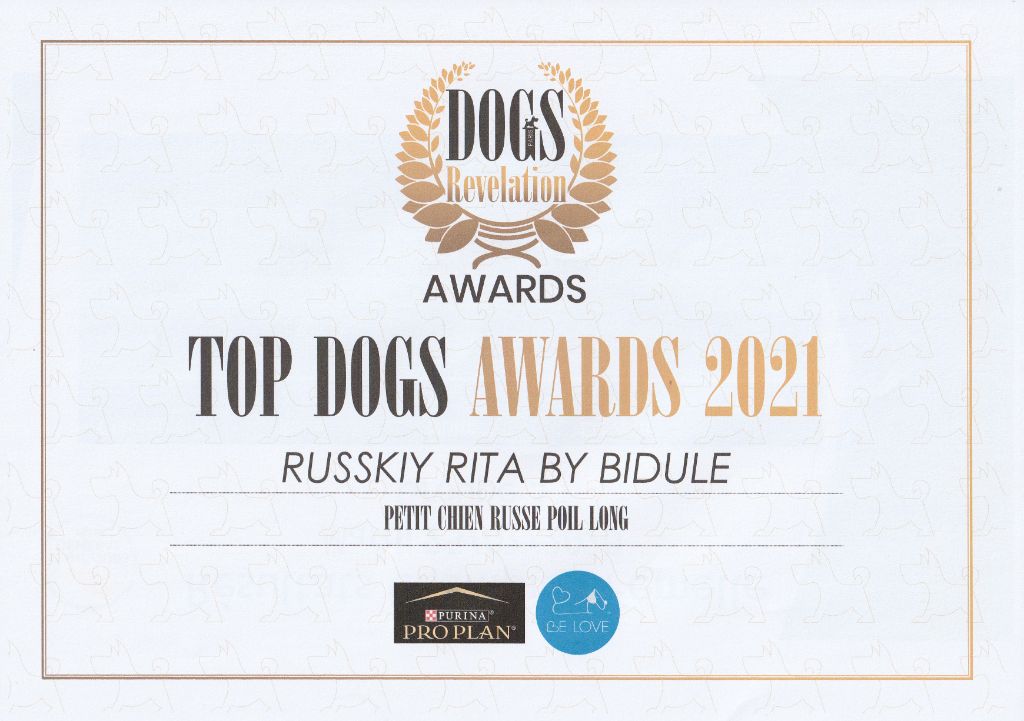 By Bidule - Rita - Top Dog 2021!