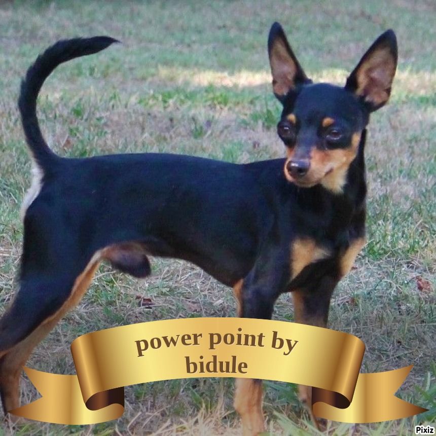 Power point By Bidule