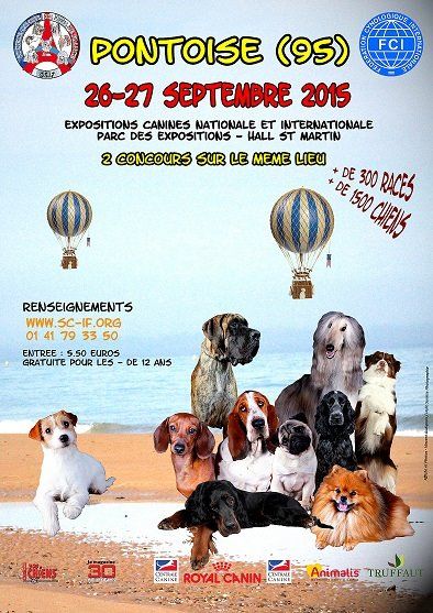 Exposition Canine de Pontoise